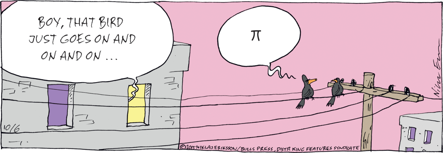 'Boy that bird just goes on and on and on ... ' The bird says, 'pi'.