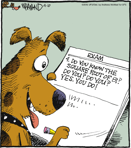 Dog reading an exam: 'Do you know the square root of 81? Do you? Do you? Yes, you do!'