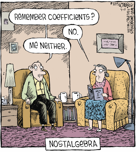 Elderly man: 'Remember coefficients?' Elderly woman: 'No.' Elderly man: 'Me neither.' Caption: 'Nostalgebra.'